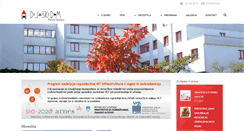 Desktop Screenshot of ddng.si